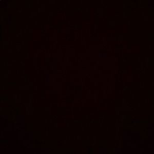 Meet your Posher, Ellie